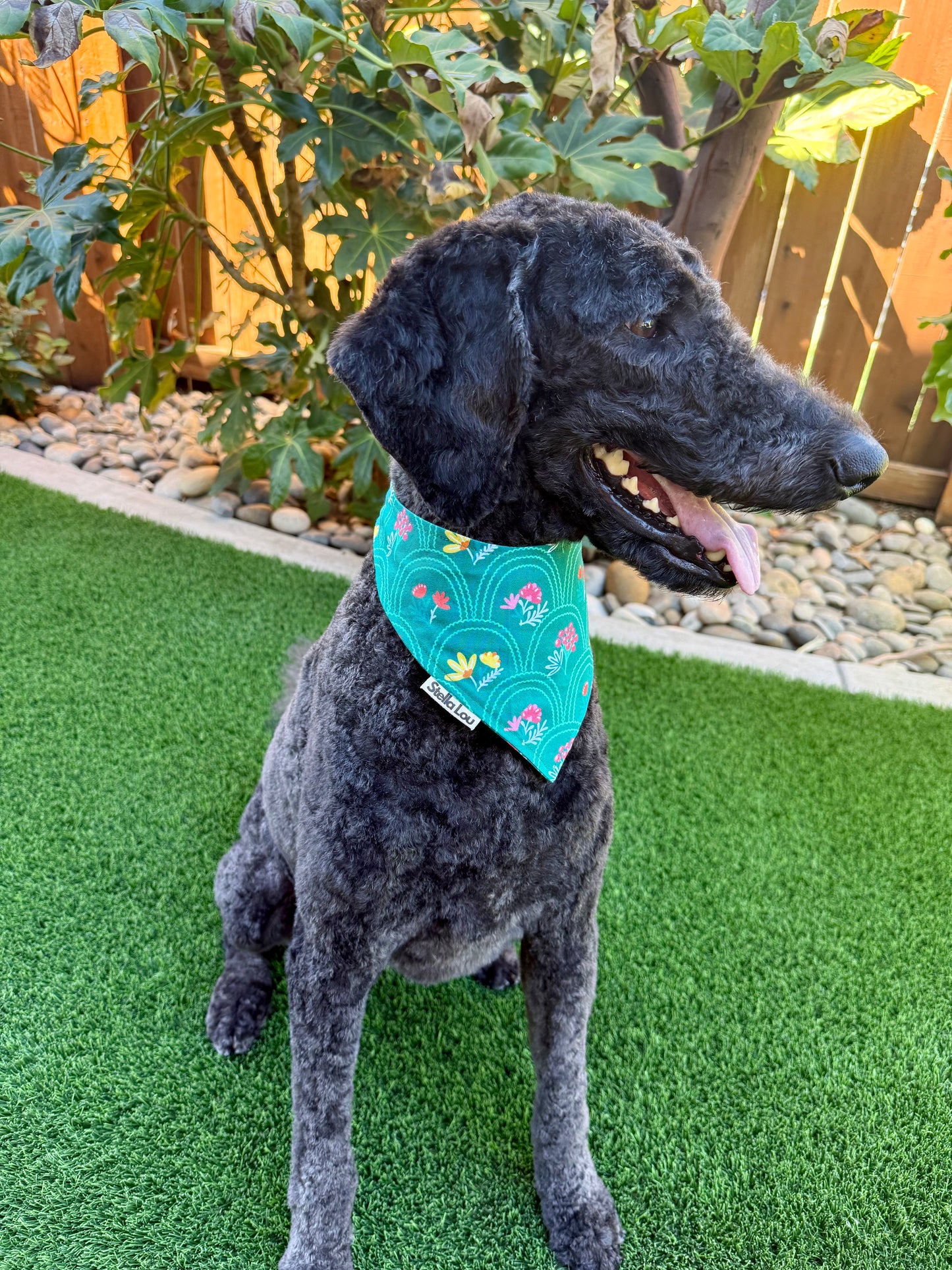 Bloom & Zoom Bandana