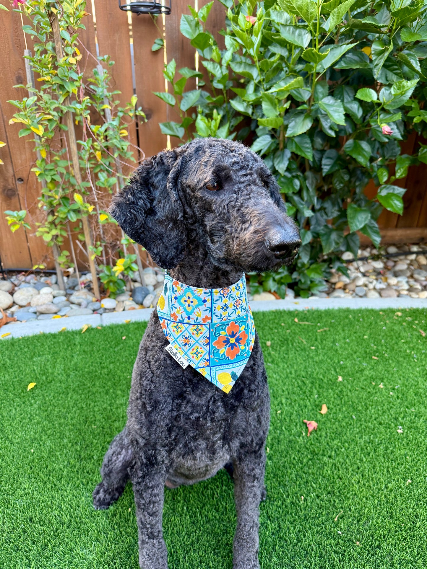 The Italian Dream Bandana