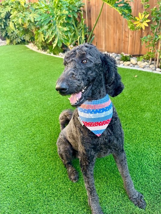 The Daisy Duke Bandana