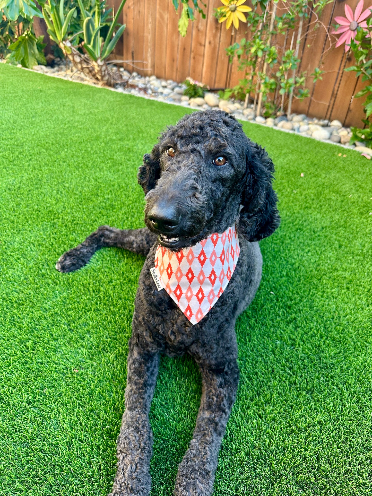 The Trailblazer Bandana